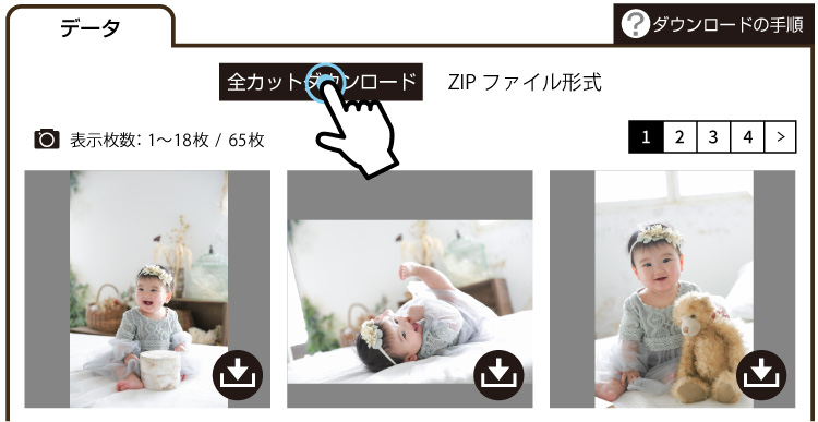 ダウンロード手順