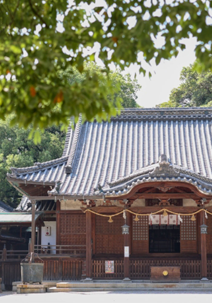 photo maison toctoc お宮参り・百日祝いの写真撮影